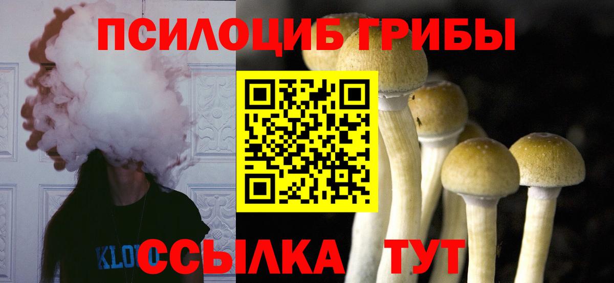 Камень-на-Оби  Галлюциногенные грибы Psilocybe  Галлюциногенные грибы MAGIC MUSHROOMS  Вход с VPN 