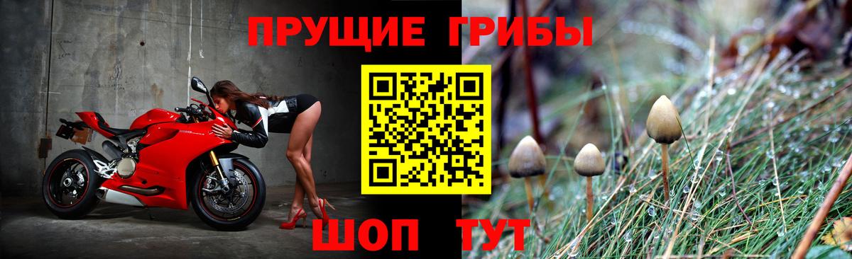 Псилоцибиновые грибы мицелий Камень-на-Оби
